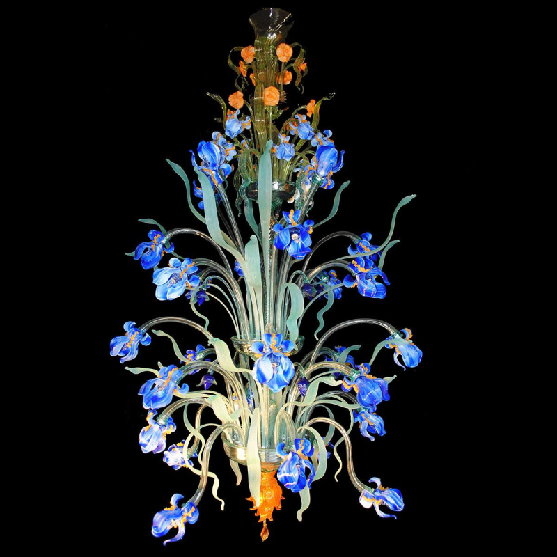 Iris Azzuro Grande