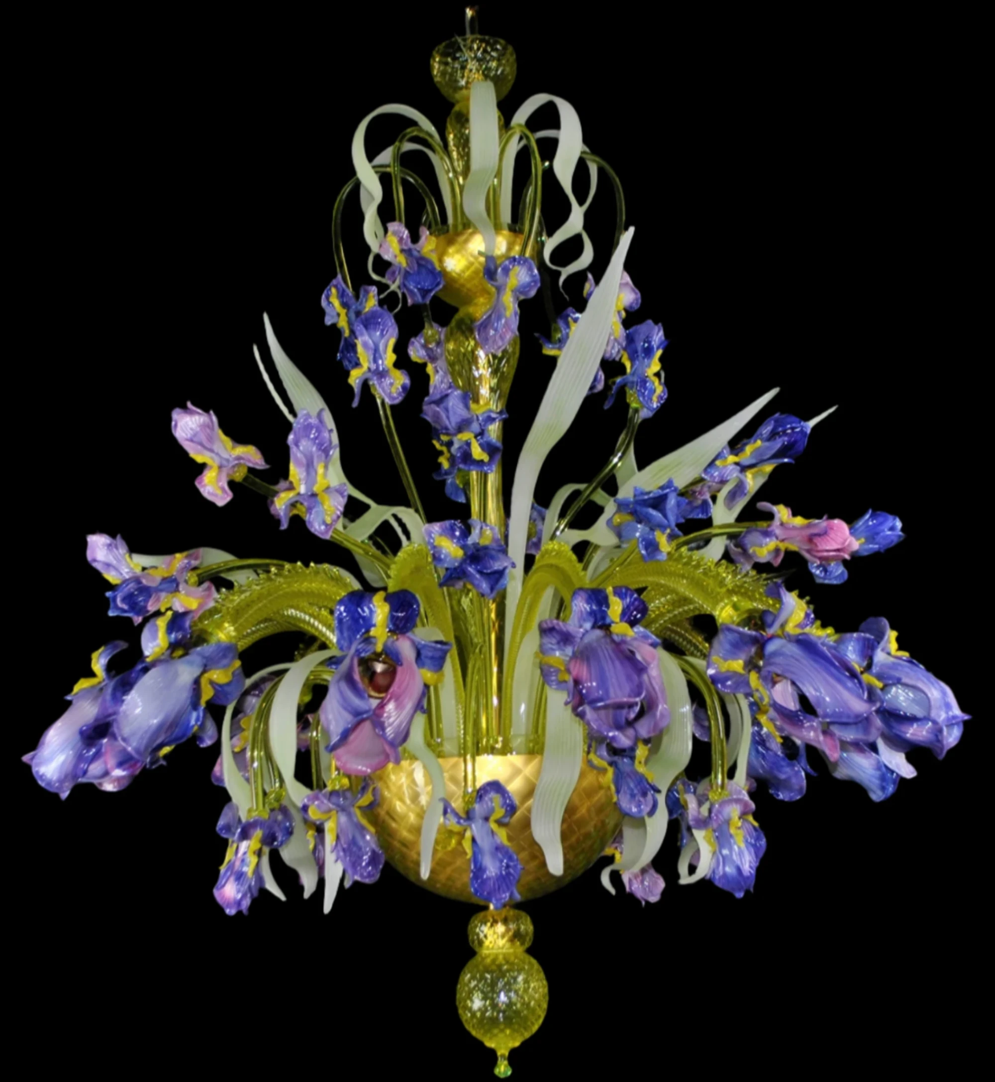 Iris Dea
