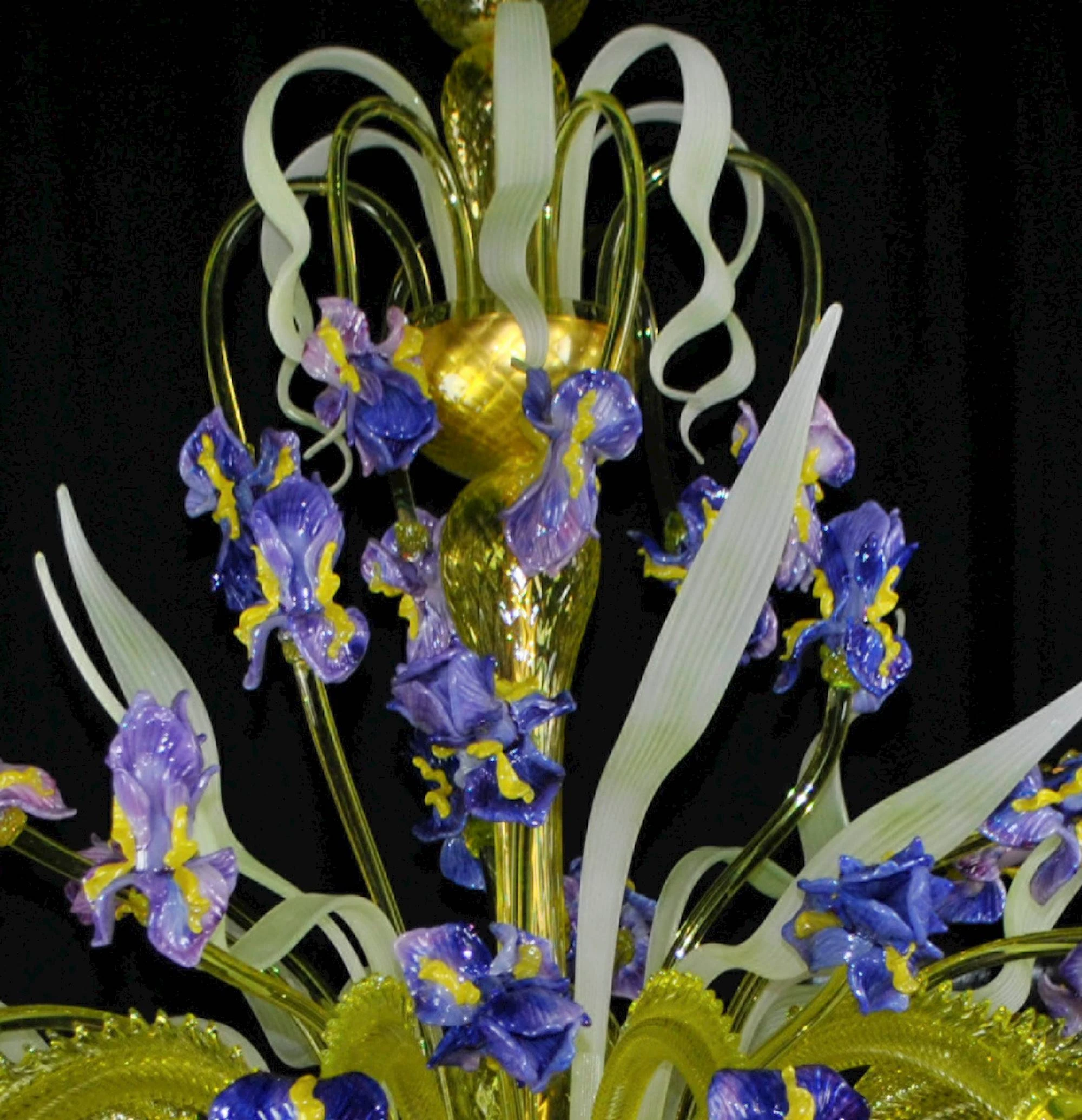 Iris Dea - Image 2