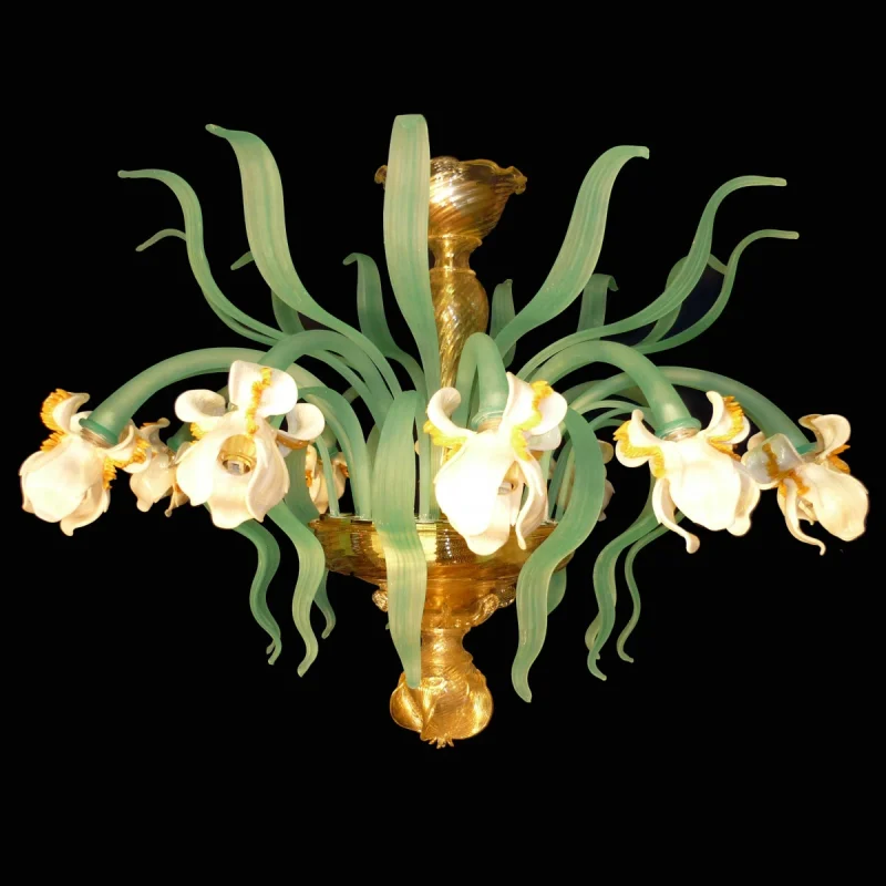 Iris Bianco