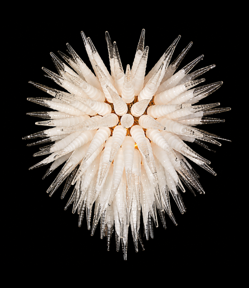 Coralium white