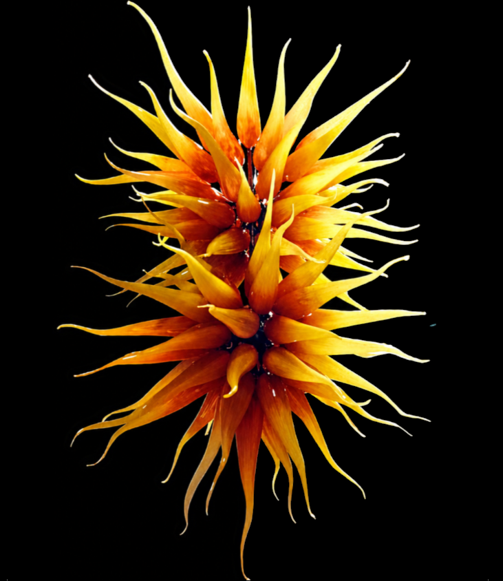 Sun Glory
